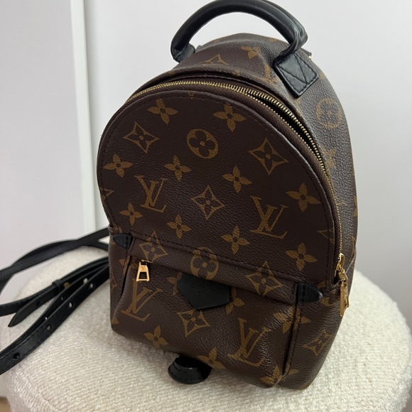 Louis Vuitton Palm Springs Mini - Picture 5 of 5